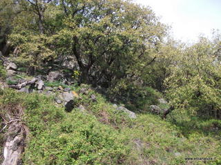 zzena-07-04-2013 08-49-52